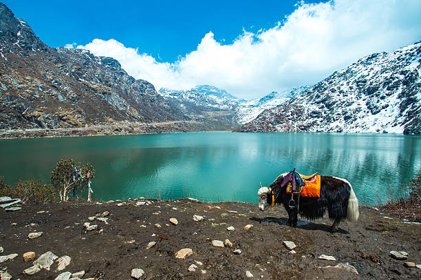 Sikkim and Darjeeling Group Tour